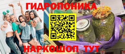 крисы Ливны