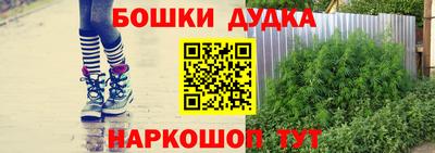 стаф Лесосибирск