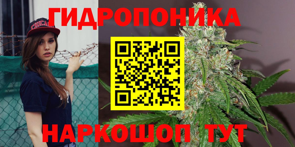 Бошки Шишки конопля  Шишки марихуана план  Ирбит  Вход с VPN 